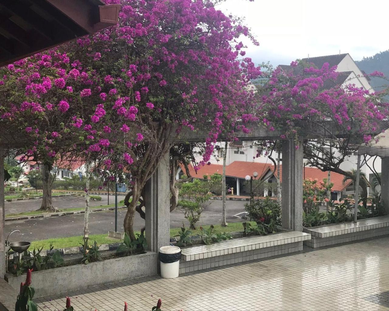 Thatniceplace In Selesa Hillhome, Bukit Tinggi, Bentong, Genting Dış mekan fotoğraf